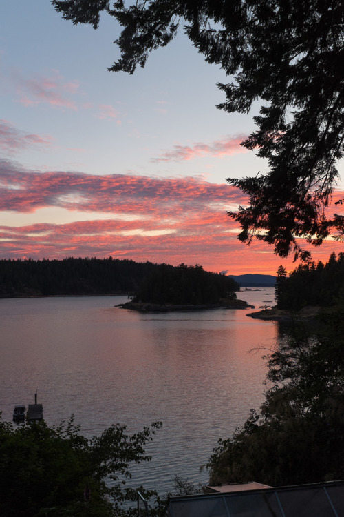 Quadra Island, British Columbia, Canada, June 2019