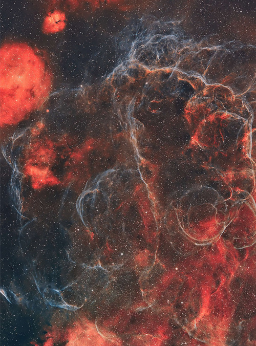 Vela Supernova Remnant