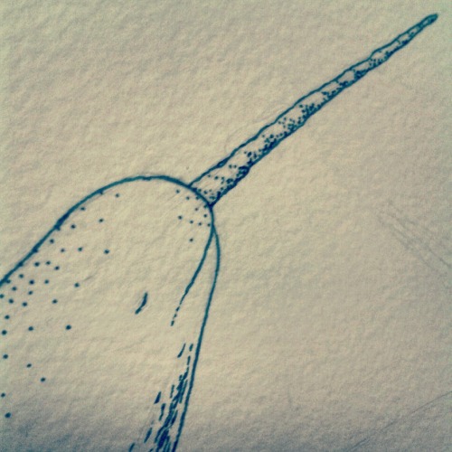 Having a whale of a time drawing marine loveliness.