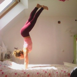 nivueniconnue:  Day 193 of my 365 #handstand