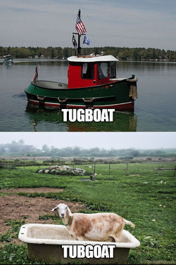 failnation:  Tugboathttp://failnation.tumblr.com