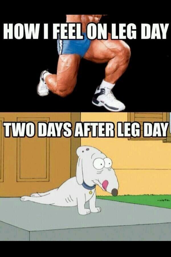 gym-things:Pretty much
