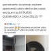 seu-bobo-da-corte: