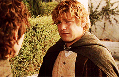 lucyliued:Favorite Characters | Samwise Gamgee“I made a promise, Mr. Frodo. A promise. ‘Don’t you le