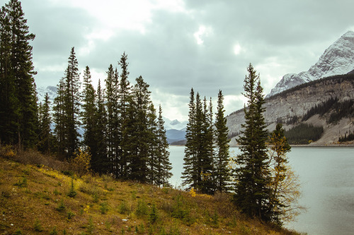 k0asts:  chrisamat:  Kananaskis, AB  ~