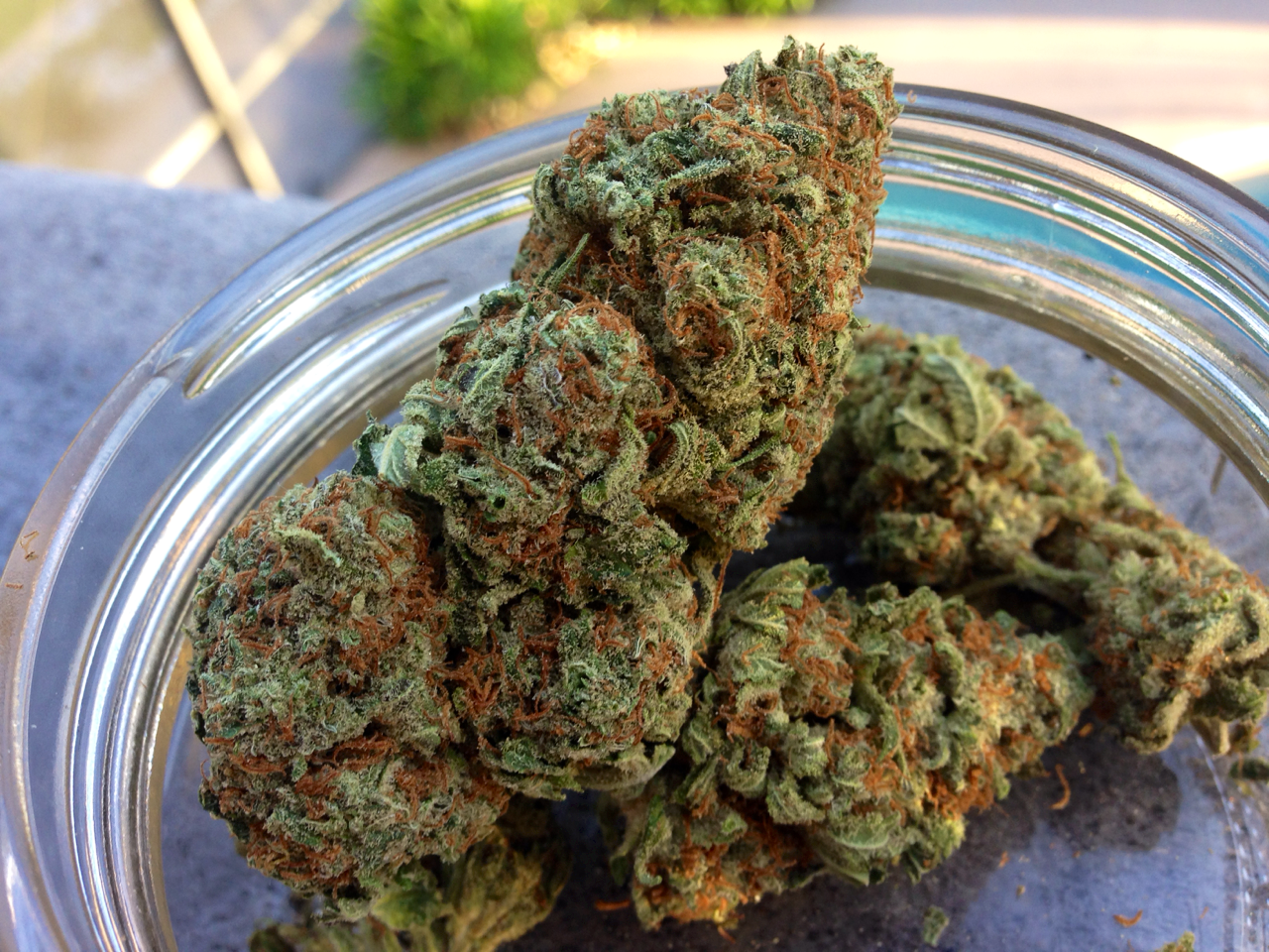 smoqweeed:  gotta sweet tooth 😋🍭