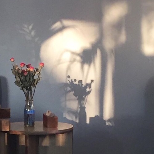 brightsessions: Chloe Turner, The Bright Sessions