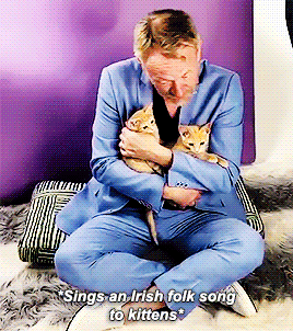 charlesdances:Jared Harris spends the day with adoptable kittens (x)