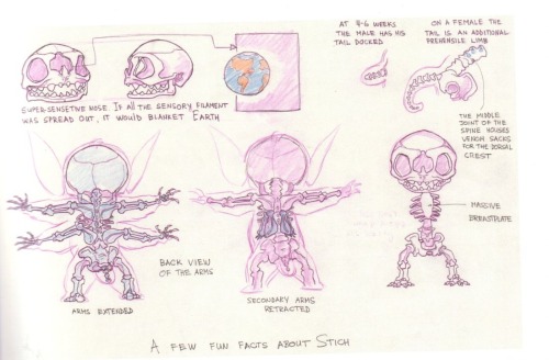 afterhoursanimationschool:davidesky2: Lilo &amp; Stitch model sheets, via Character Design