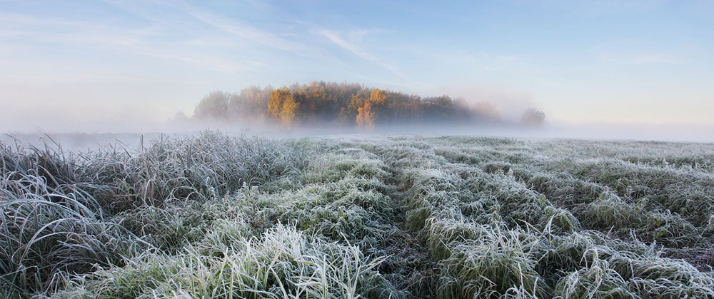 88floors:  Frozen Countryside by Alex Ugalnikov  