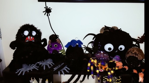 arachno-va:  Welcome to the spider wall