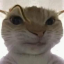 barabii