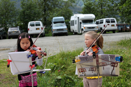 Little fiddlers, Juneau, USA