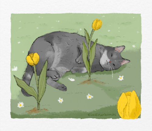 poffertjebutch:cinnamonbreads:for @mossyabyss !!! [image description: a drawing of a gray cat sleepi