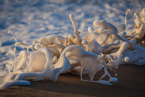 nubbsgalore:  photos by lloyd meudell (instagram) along the southern coast of new south wales. as lloyd, who’s surfed the area for years before picking up a camera, explains, “when the tide is high, the water comes in and it breaks in front of