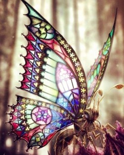 mariposas-journey:  bellafayegarden:  “We are all broken, that’s how the light gets in.”~Ernest Hemingway  Stained glass beauty 