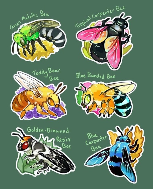 Finally completed a new set of stickers! A bunch of colourful bees  #stickers #art #artwork #bees #i