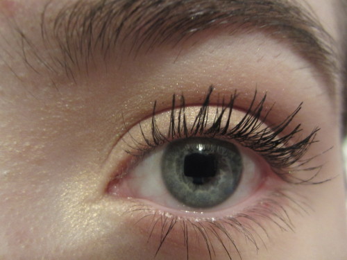 nevrlahd:  my eyes are pretty cool i guess   💦