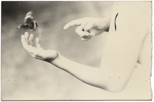 nobrashfestivity: Masao Yamamoto 