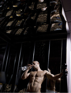 Todd Sanfield - Via Homorazzi