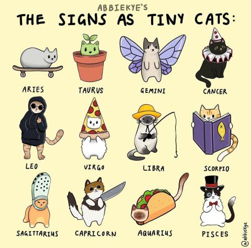 blondebrainpower:  The Signs As Tiny Cats - Abbiekye