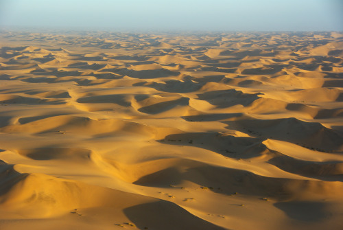 Sand SeaThis amazing image comes from Namibia’s amazing Namid-Naukluft National Park. In the far dis