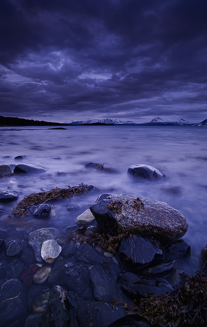 cold-fears:  ROCKS AND SEAWEED by ~~~johnny~~~ on Flickr.