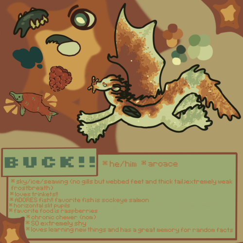 Finally Finished The Ref Sheet For My Sona, Buck!! I'm Really Proud Of How I Ended Up Doing The Colors
