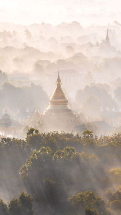 Mandalay, horizon, tree, sunrise, dawn, nature, fog, 720x1280 wallpaper @wallpapersmug : ift