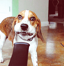juquantum:  only——gifs:   Check me blog!   