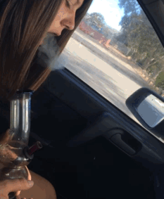 nugbuds:oh a dragon