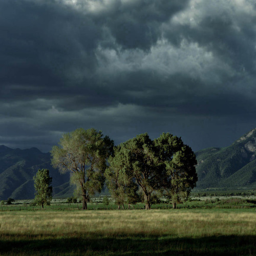 movementandwonder:  Michael Eastman - Landscapes 