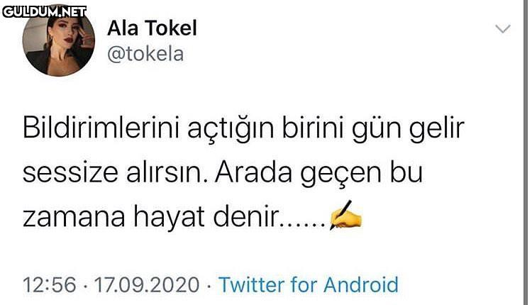 Ala Tokel @tokela...