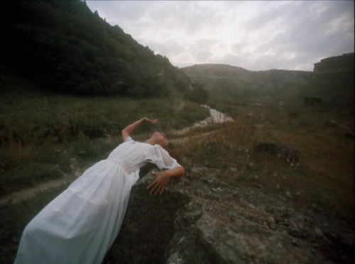 roserosette - Save and Protect, 1990, Aleksandr Sokurov