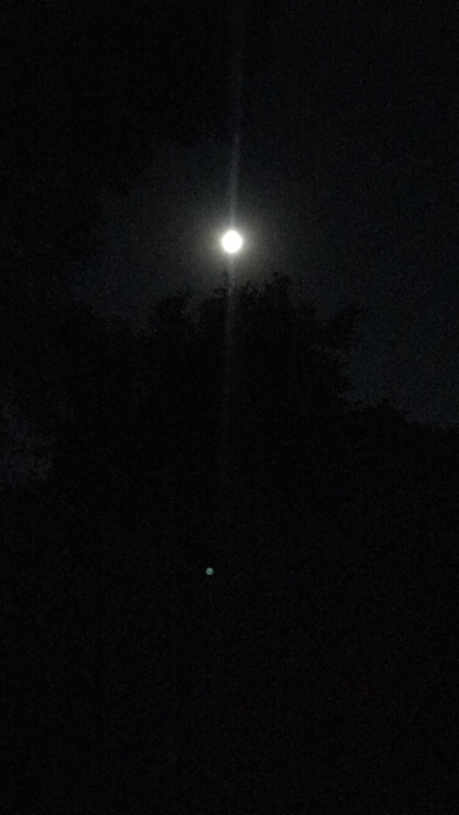 some pics of my girlfriend, the moon