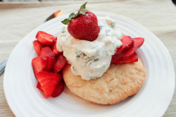 foodffs:  Strawberry Shortcake with Honey Basil Cream Really nice recipes. Every hour.  &mdash;&mdash;&mdash;&mdash; The blonde lifts a brow, &ldquo;Ok, fine. I gotta give you this one, it looks absolutely amazing. I&rsquo;m going to add it to my regular