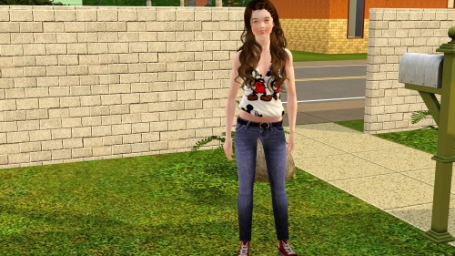 sims model