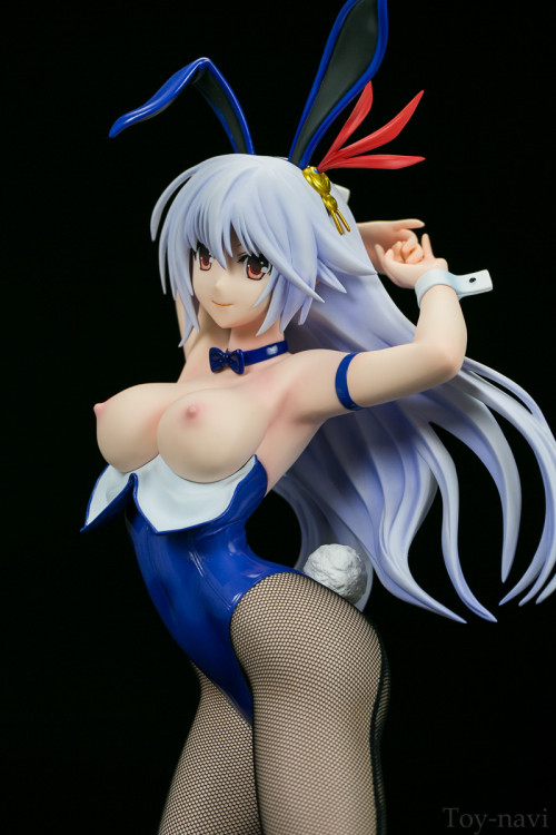 hentaianimefigures:    Madan no Ou to Vanadis porn pictures