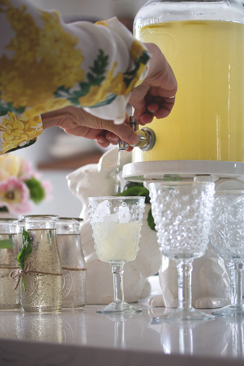Herbal Lemonade Station