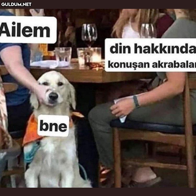 Ailem din hakkında konuşan...