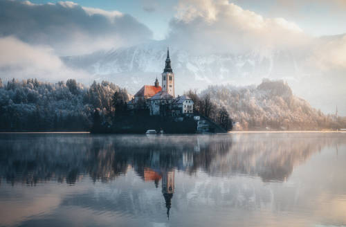 Lake bled by 苏铁