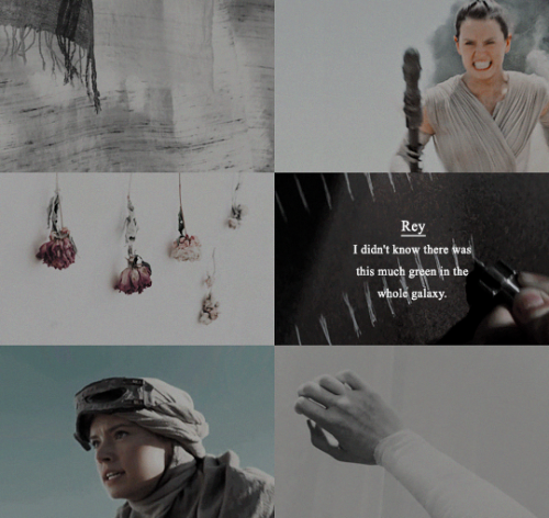 lenoreamidala:I rebel