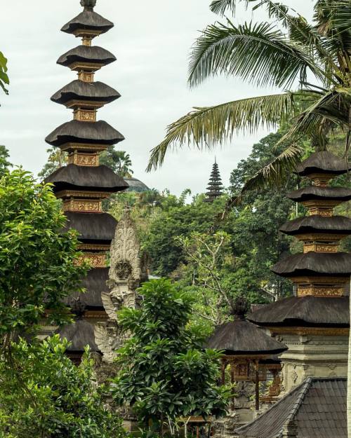 payammontazami:  A beautiful temple built in the middle of the rice fields of Ubud! #ubud #temple #r