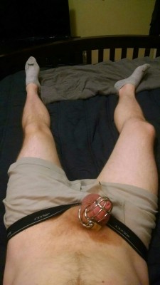 lockedandbound:Never a good sign when I’m already this horny after less than a day locked up.