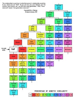 madlori:  genealogy-watercooler:  popchartlab:  Who the Hell Is This Person Talking to Me and How Exactly Are They Related to Me: The Chart, just in time for your Thanksgiving gathering. (Source: Apparently commenter “Platypus Man” from this Lifehacker