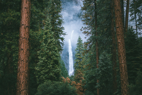 vurtual:Two Weeks in Yosemite National Park (by Nathaniel Wise)