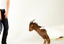 anna-torv-news:  Anna Torv teaches us how to wrap a goat | Oxfam Australia | 2010    
