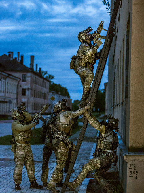 militaryarmament:  (Updated) In Exercise Flaming Sword, the Lithuanian military trained together with troops from the Latvian Special Operations Unit, Norwegian Special Forces and U.S. Navy SEALs. At the crack of dawn various small teams working together