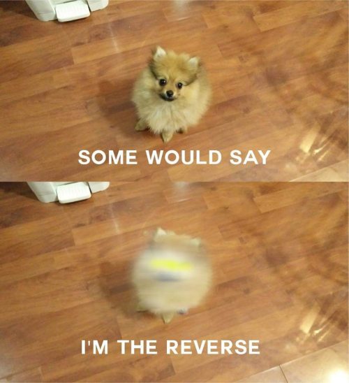 daily-superheroes:  http://daily-superheroes.tumblr.com/