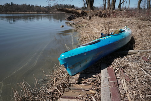 Kayaking, north end of Fanshawe Lake (photographer: Giles Whitaker)